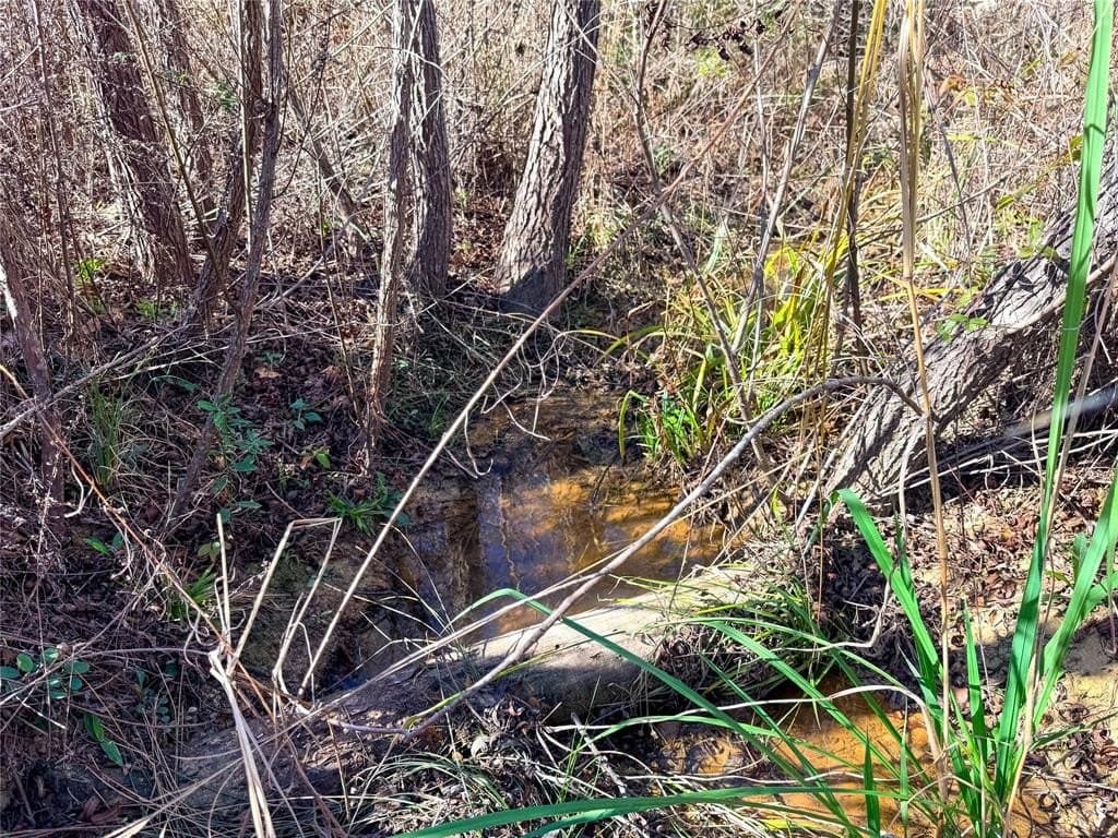 90 acres in Rusk County - photo 37