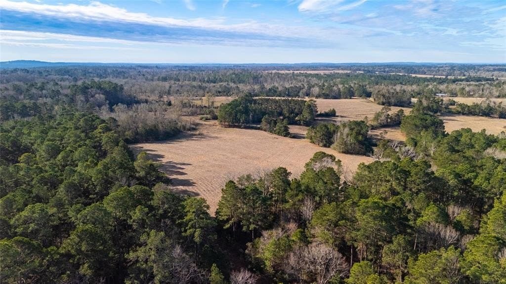 90 acres in Rusk County - photo 16