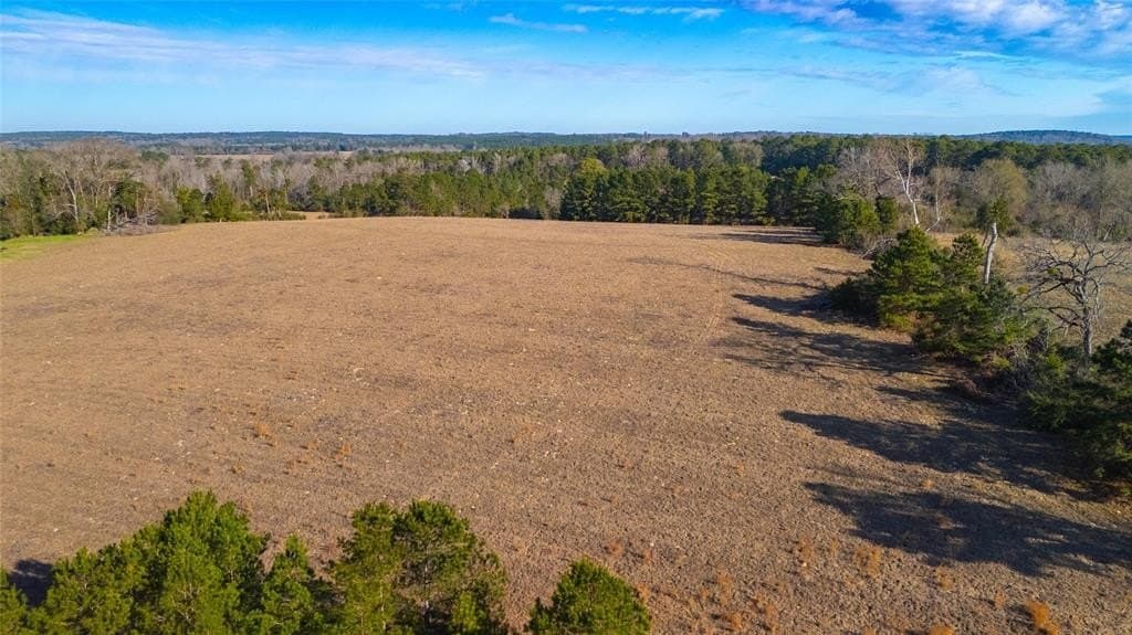 90 acres in Rusk County - photo 27