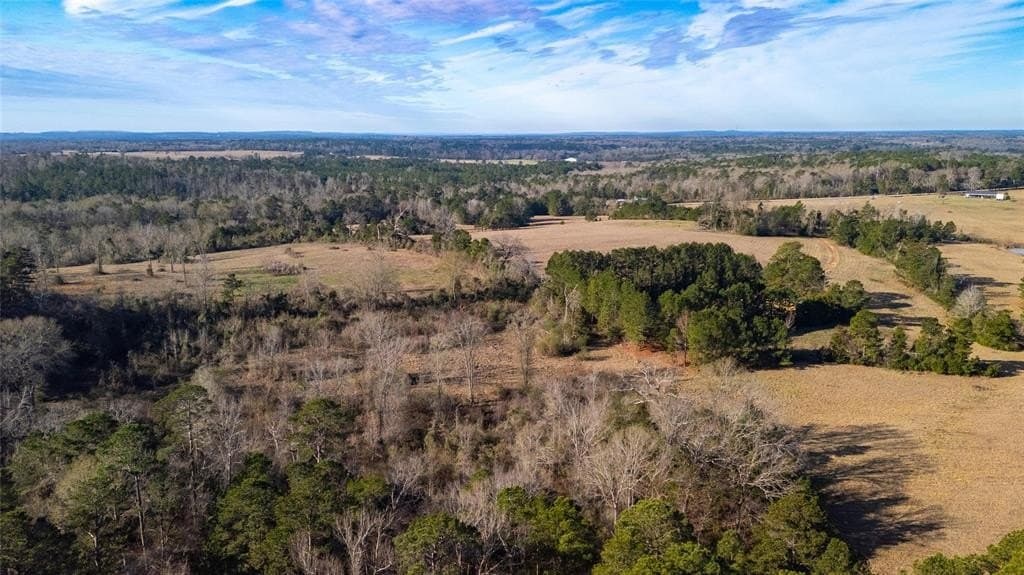 90 acres in Rusk County - photo 13