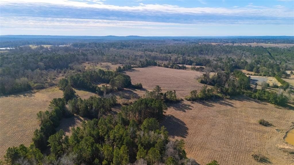 90 acres in Rusk County - photo 19