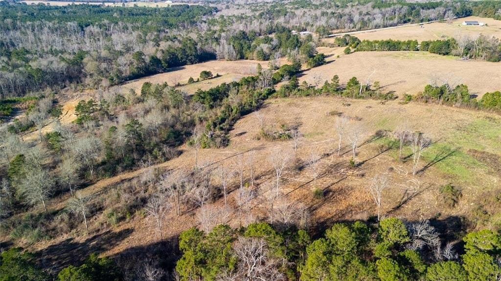 90 acres in Rusk County - photo 9