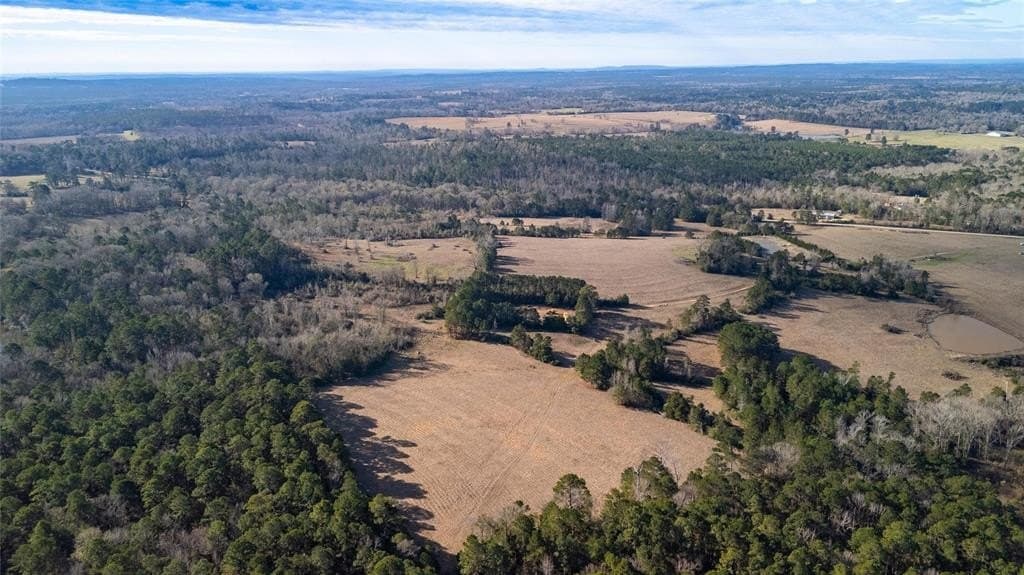 90 acres in Rusk County - photo 17