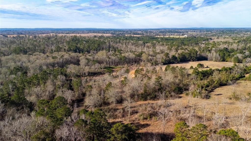 90 acres in Rusk County - photo 11