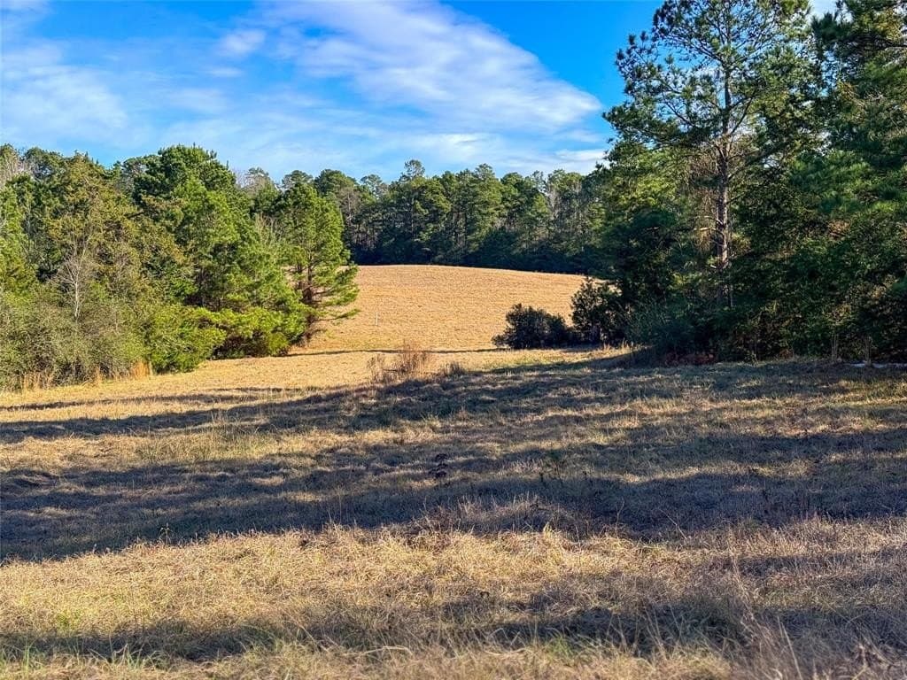 90 acres in Rusk County - photo 35