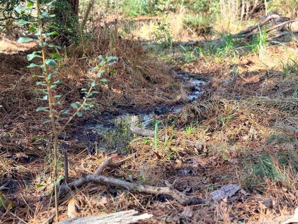 90 acres in Rusk County - photo 39