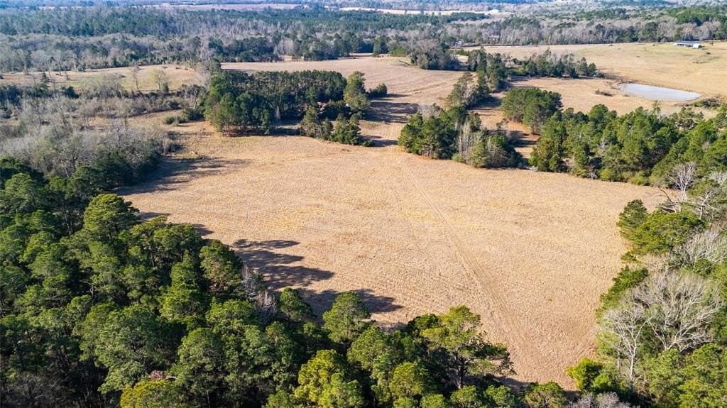 90 acres in Rusk County - photo 15
