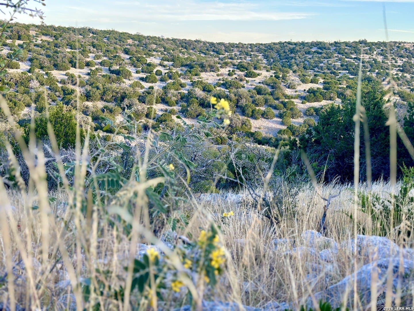 23.3 acres in Edwards County - photo 2