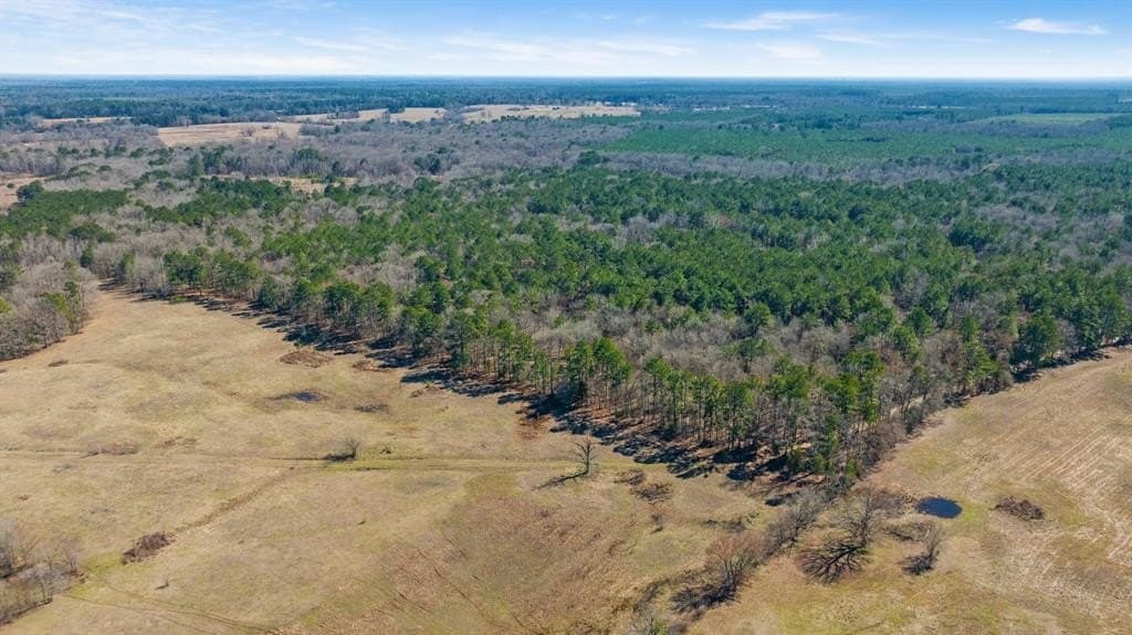 60 acres in Red River County - photo 7