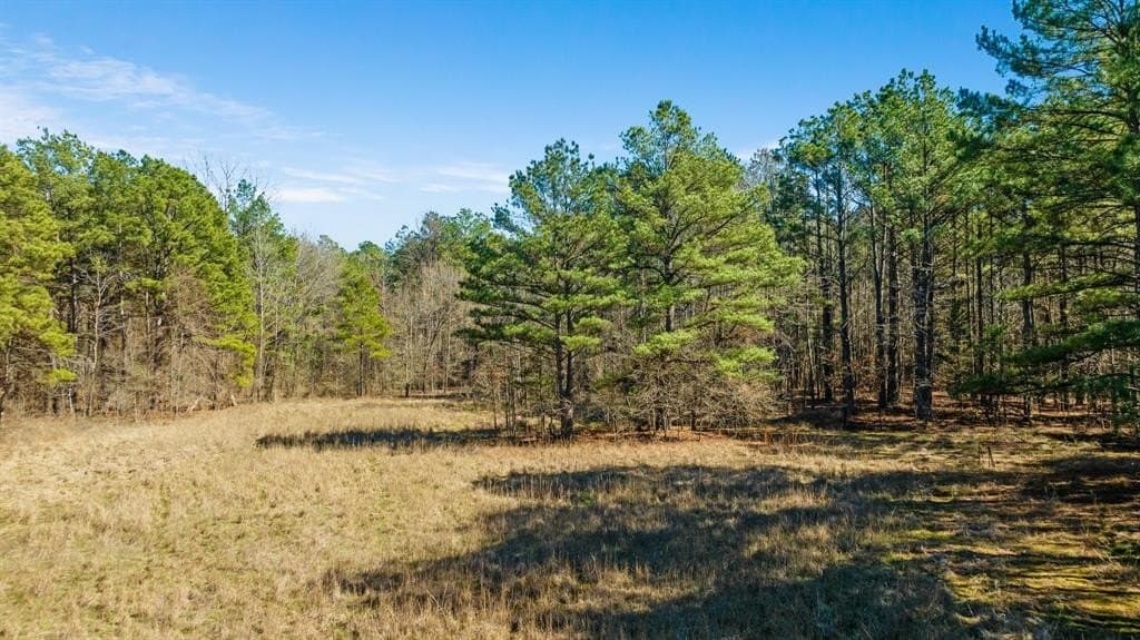 60 acres in Red River County - photo 5