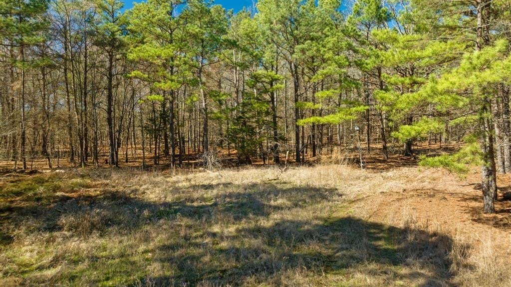 60 acres in Red River County - photo 19