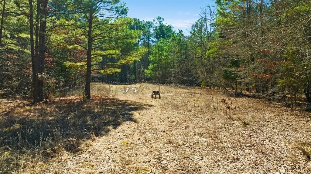 60 acres in Red River County - photo 11