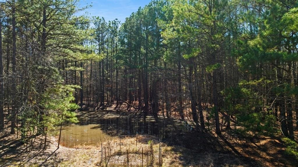 60 acres in Red River County - photo 4