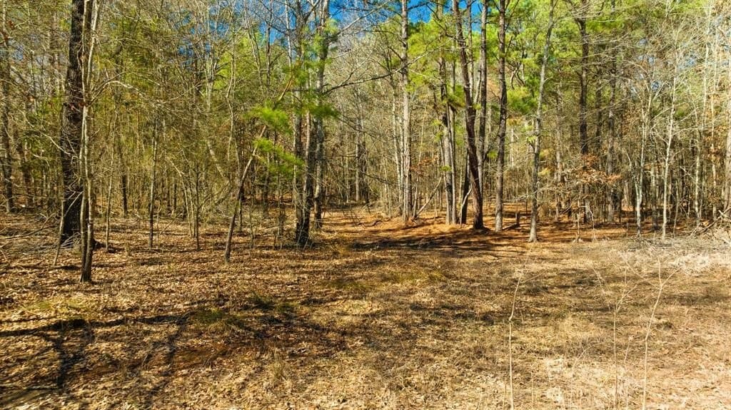 60 acres in Red River County - photo 12