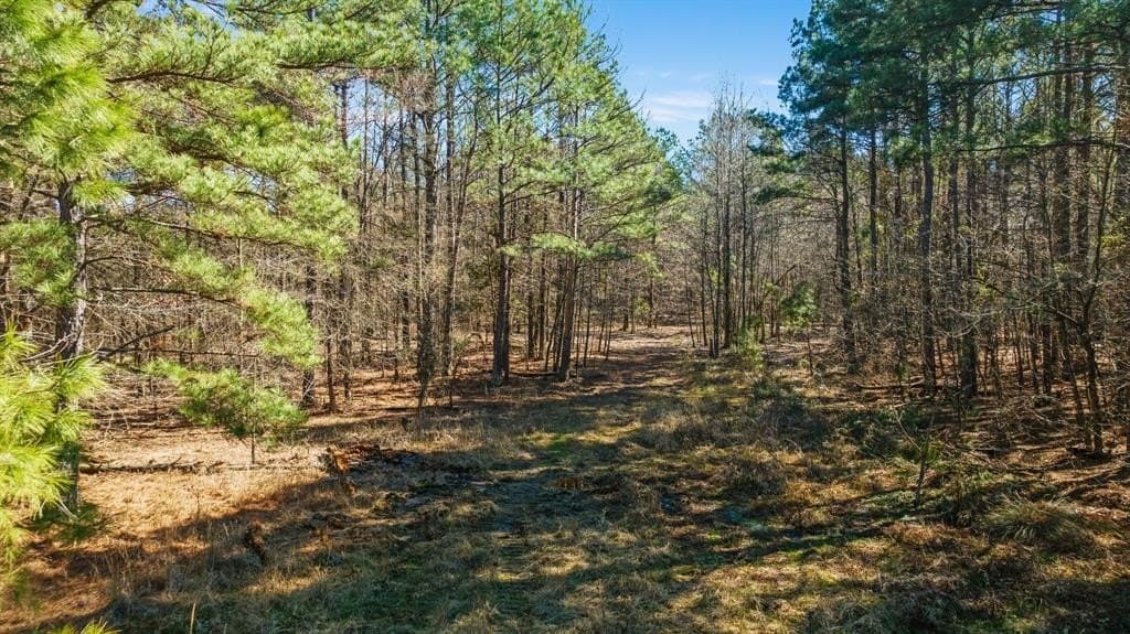 60 acres in Red River County - photo 20