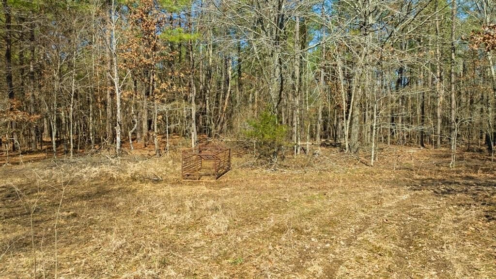 60 acres in Red River County - photo 13
