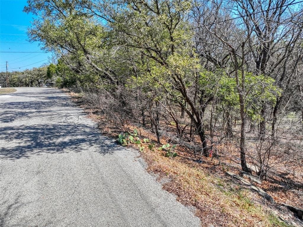 0.6 acres in Hood County - photo 6