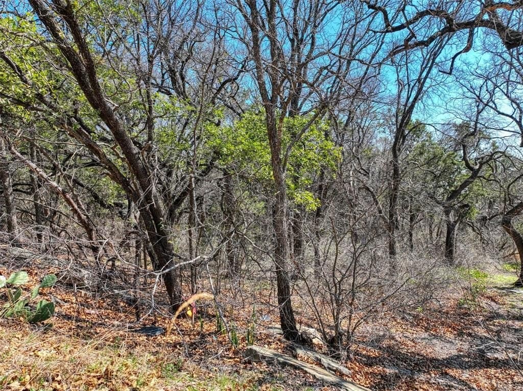 0.6 acres in Hood County - photo 8