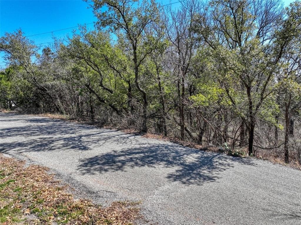 0.6 acres in Hood County - photo 7