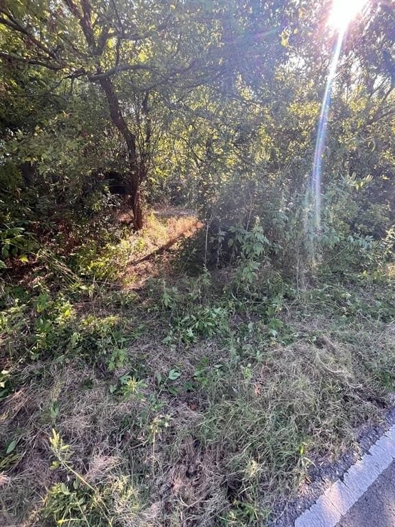 0.42 acres in Dallas County - photo 7