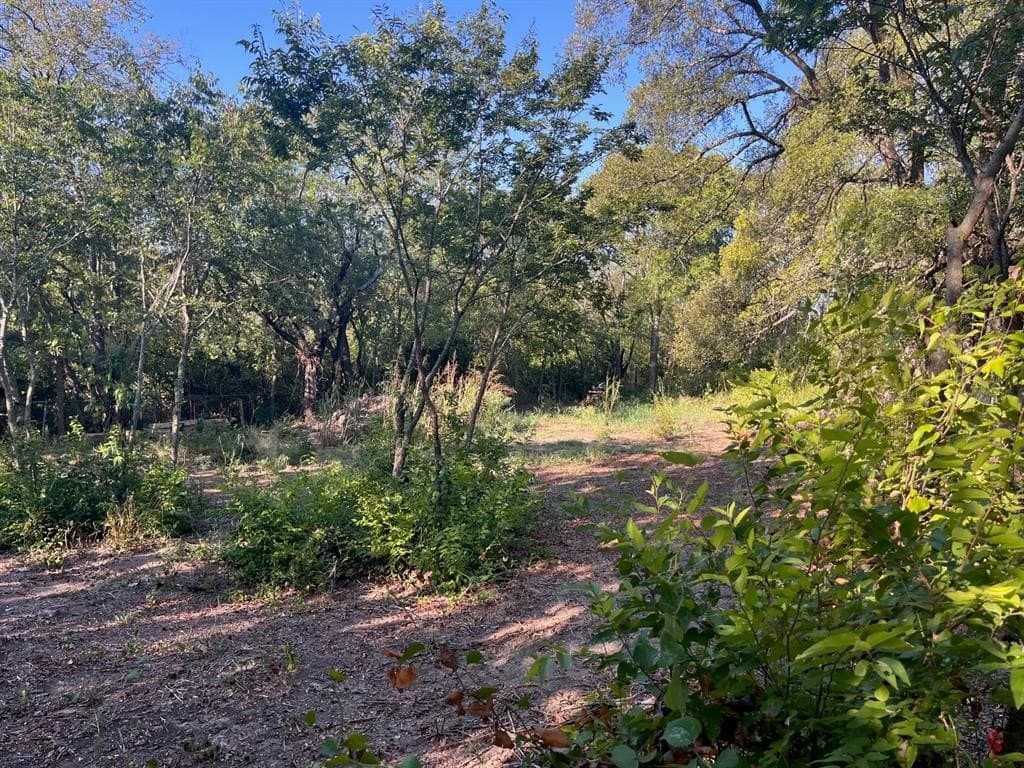 0.42 acres in Dallas County - photo 6