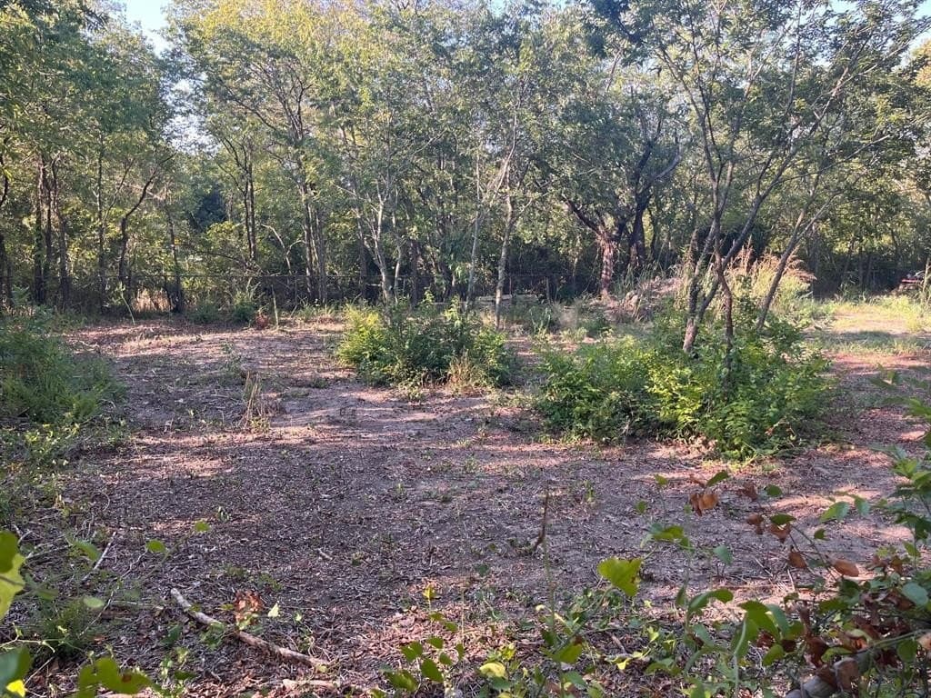 0.42 acres in Dallas County - photo 4
