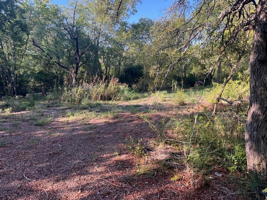 0.42 acres in Dallas County - photo 5