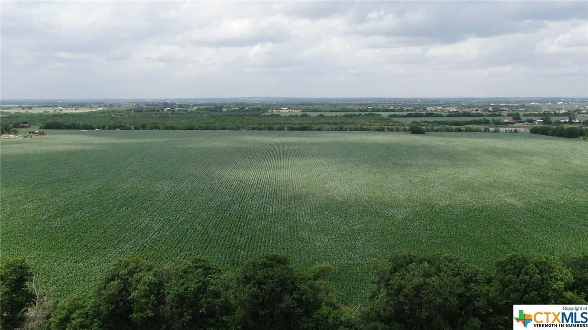 67.5 acres in Guadalupe County - photo 3