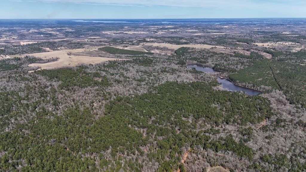 141.7 acres in Anderson County - photo 10