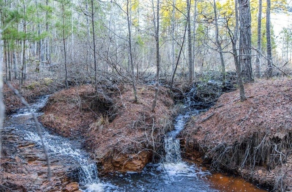 141.7 acres in Anderson County - photo 4