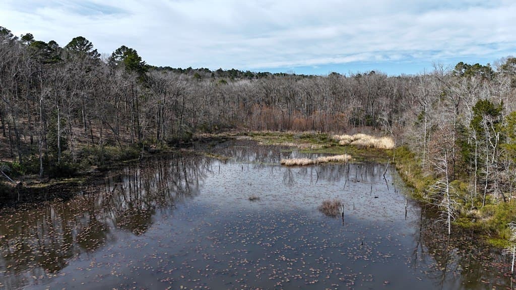 141.7 acres in Anderson County - photo 12