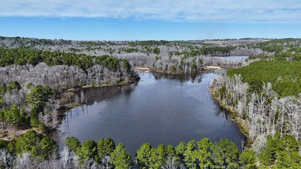 141.7 acres in Anderson County - photo 5