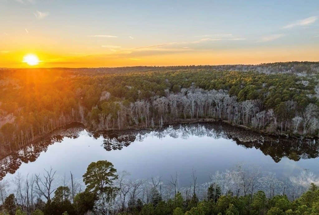 141.7 acres in Anderson County - photo 3