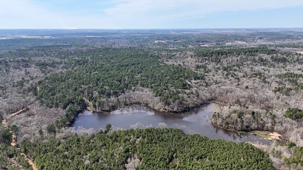 141.7 acres in Anderson County - photo 11