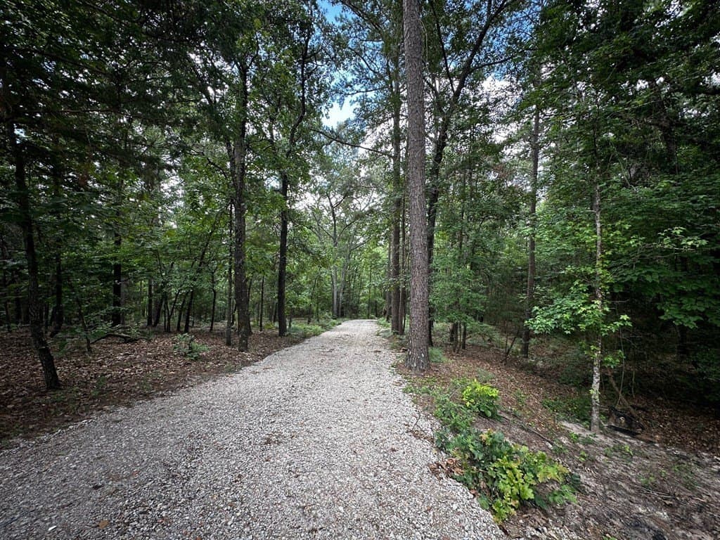 141.7 acres in Anderson County - photo 24