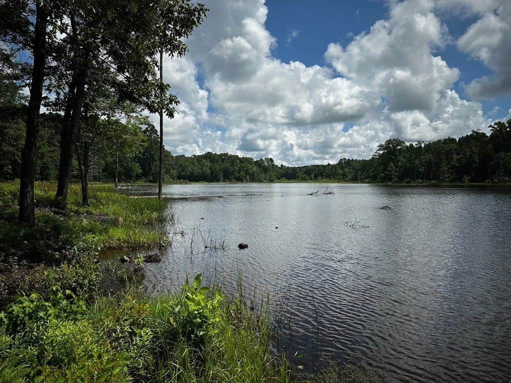 141.7 acres in Anderson County - photo 9