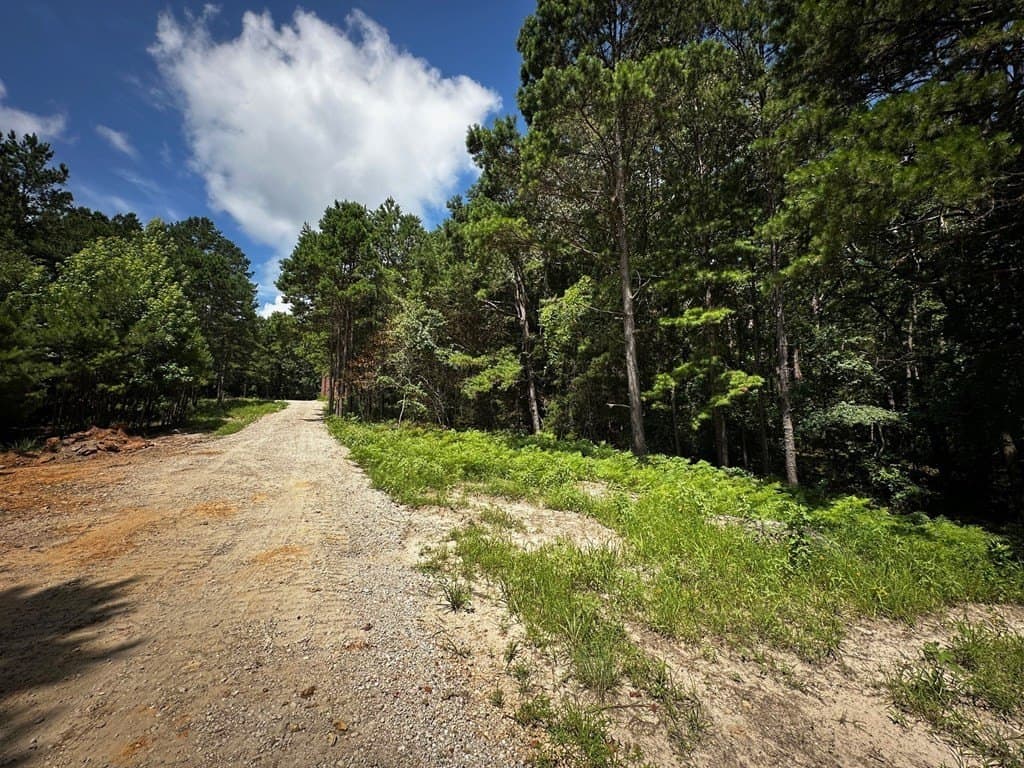 141.7 acres in Anderson County - photo 23
