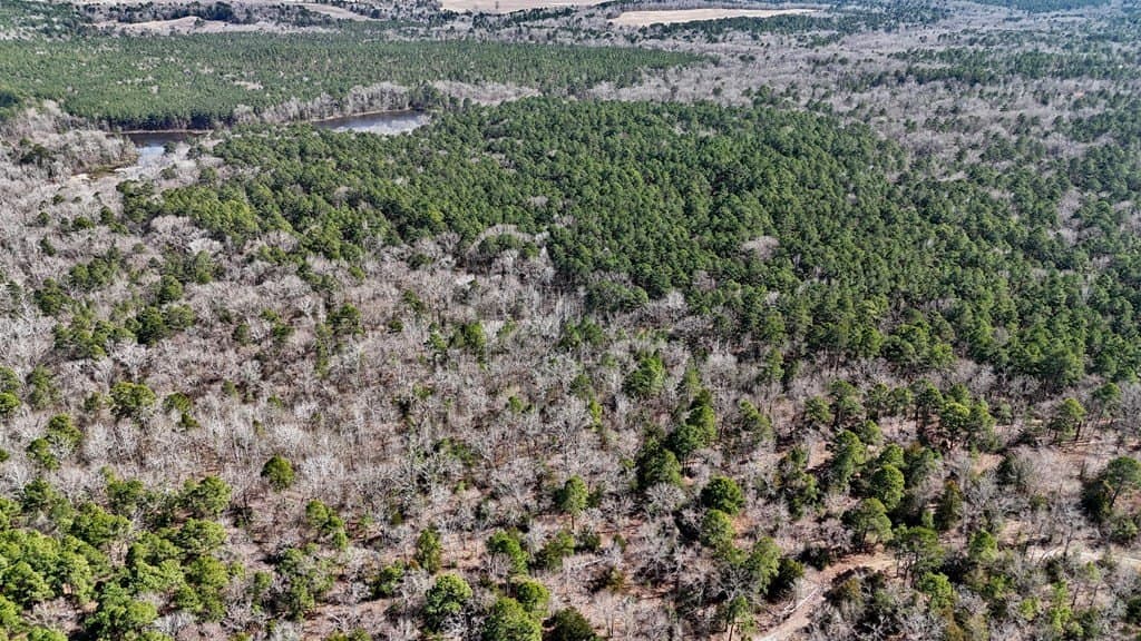 141.7 acres in Anderson County - photo 14