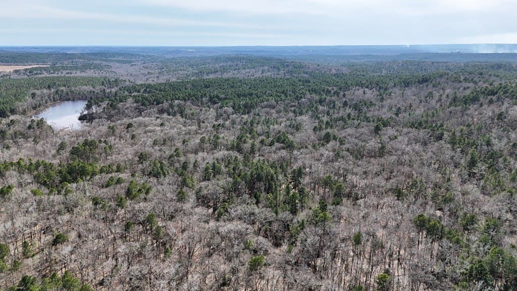 141.7 acres in Anderson County - photo 13