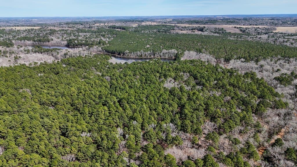 141.7 acres in Anderson County - photo 16