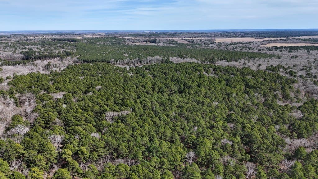141.7 acres in Anderson County - photo 15