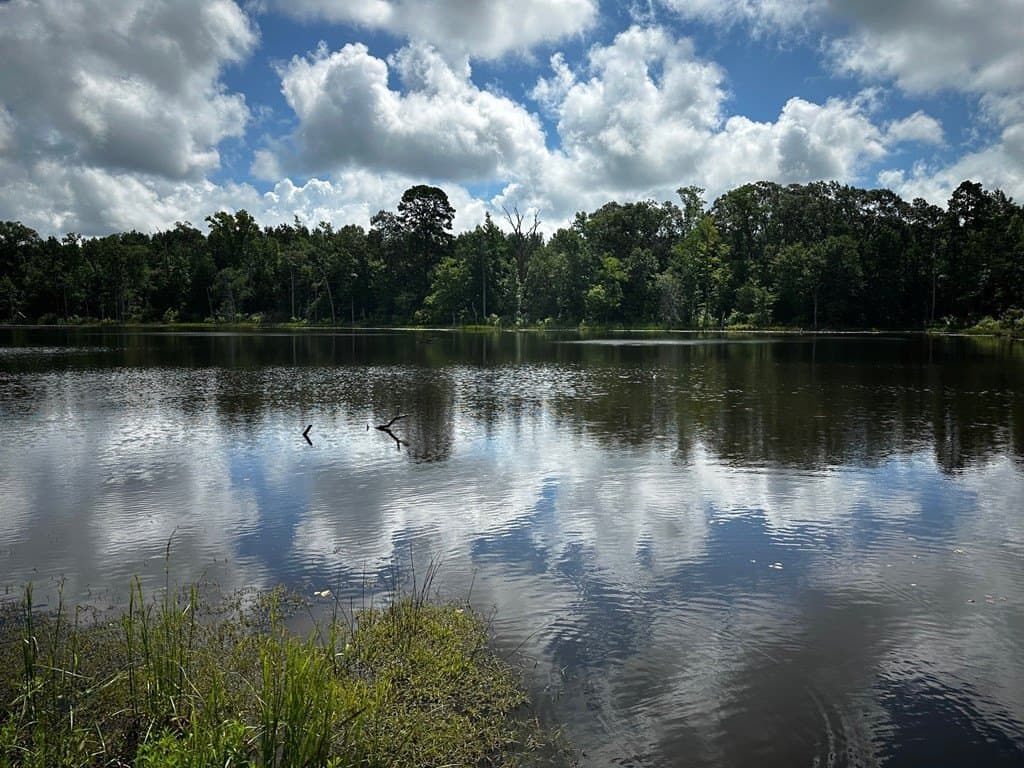 141.7 acres in Anderson County - photo 7
