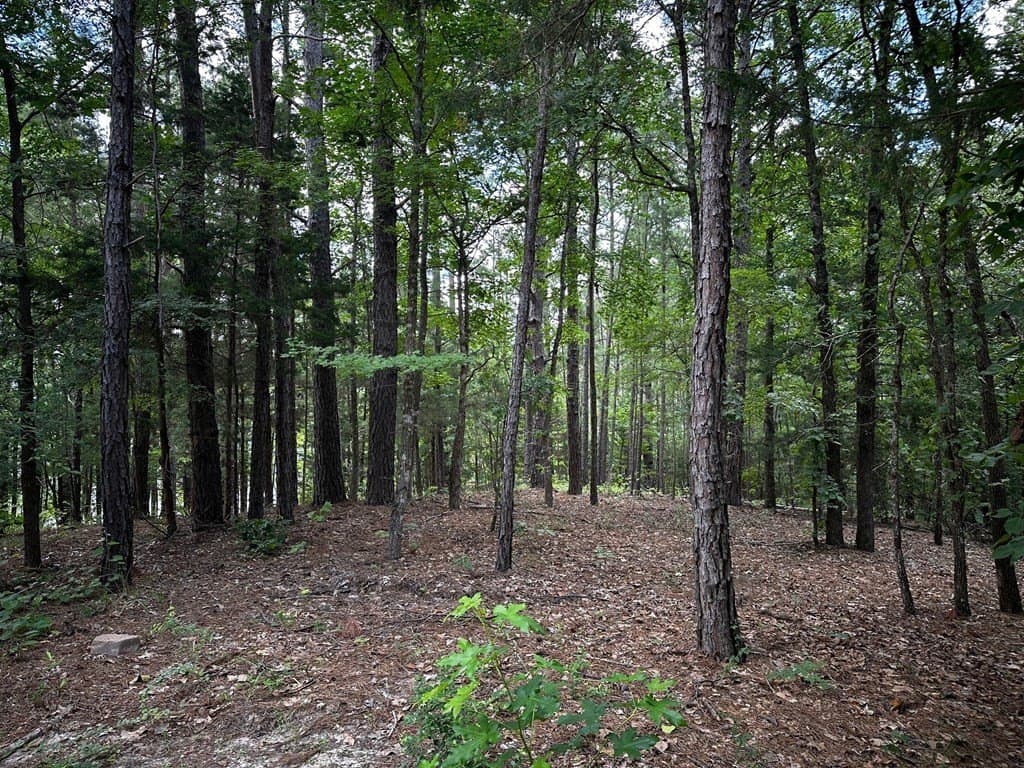 141.7 acres in Anderson County - photo 25
