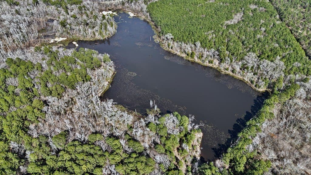 141.7 acres in Anderson County - photo 6