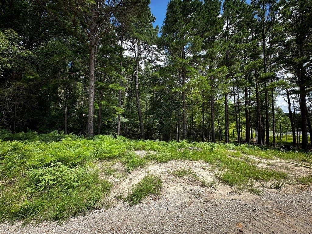 141.7 acres in Anderson County - photo 27
