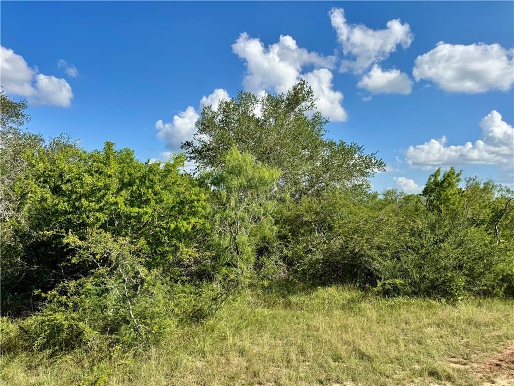 39.59 acres in Bee County - photo 12
