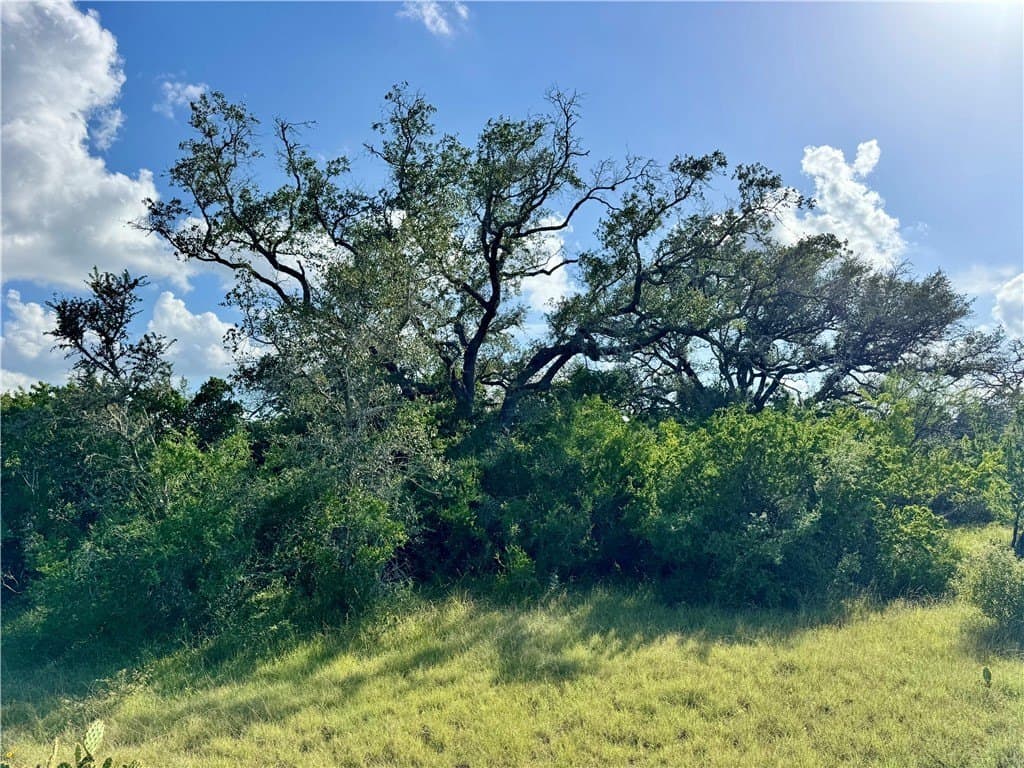 39.59 acres in Bee County - photo 23