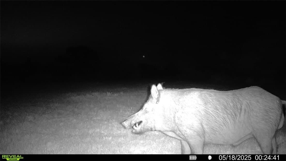 39.59 acres in Bee County - photo 38