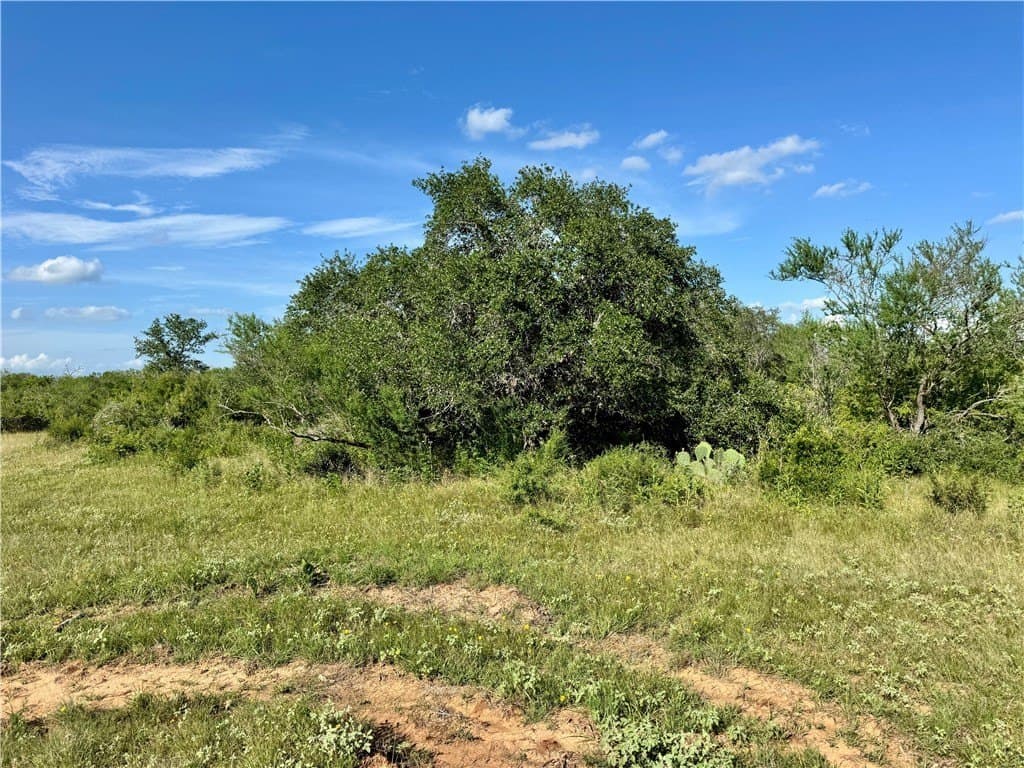 39.59 acres in Bee County - photo 18