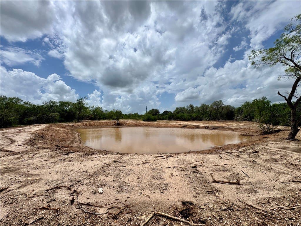 39.59 acres in Bee County - photo 4